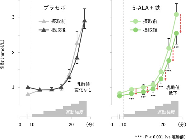 運動機能に対する5-ALAと鉄の摂取効果