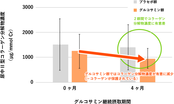 グルコサミンによる関節軟骨中のII型コラーゲン保護効果