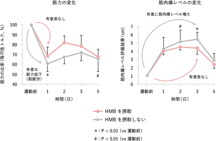 HMB摂取による筋疲労・筋肉痛の低減効果