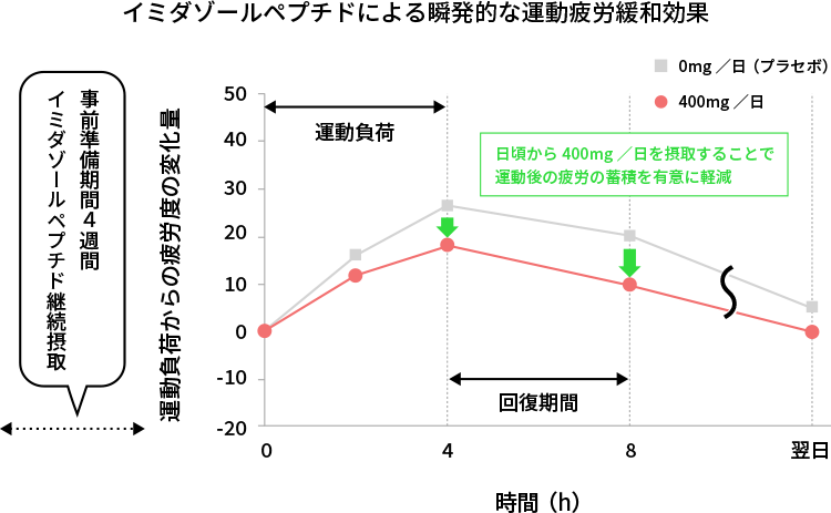 L-カルノシン、アンセリン継続摂取による運動負荷緩和効果