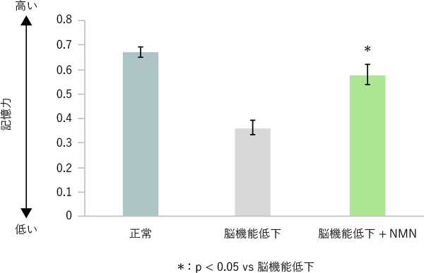 NMN摂取による記憶力改善効果