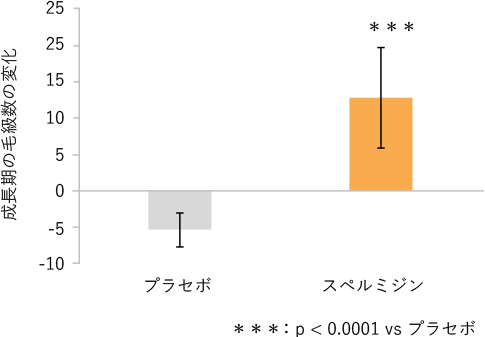 スペルミジン摂取による成長期の毛球数増加作用より改変