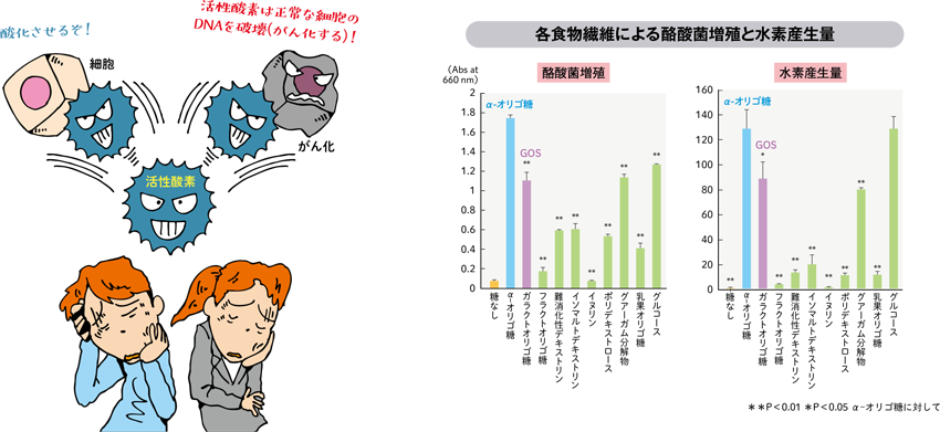 各食物繊維による酪酸菌増殖と水素産生量