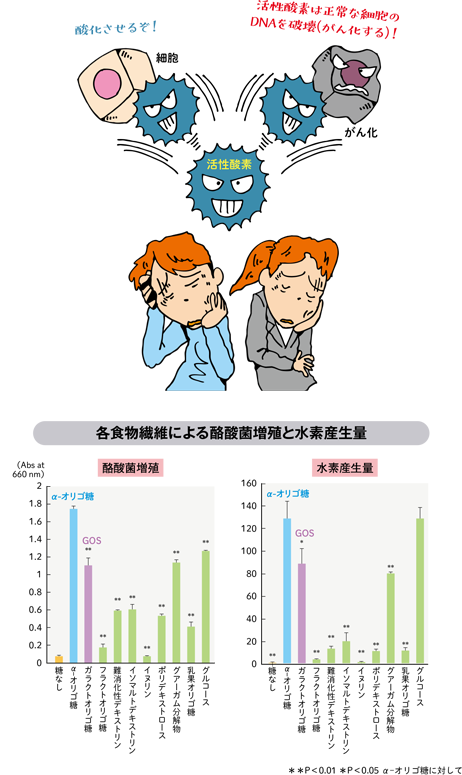 各食物繊維による酪酸菌増殖と水素産生量