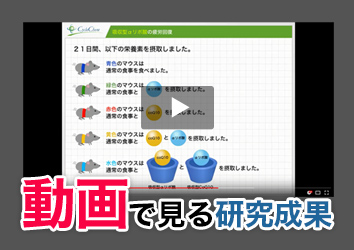 動画で見る研究成果