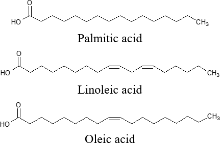 Molecular structures of main fatty acid contained in oil fraction of α-CD