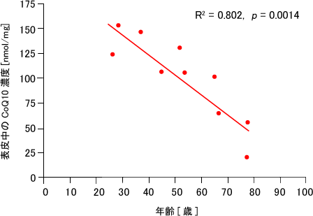 表皮中のCoQ10濃度