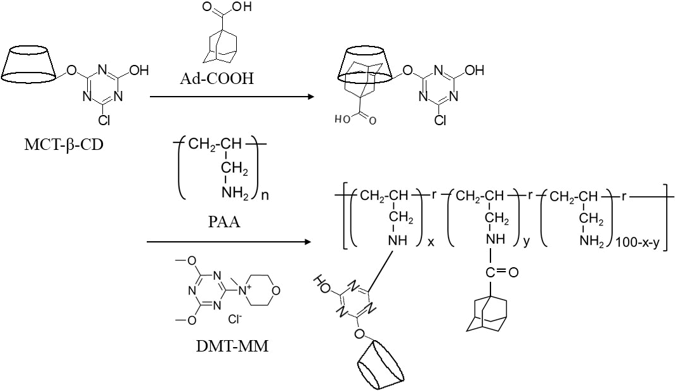 Fig. 1 Synthesis of MCT-β-CD and Ad-COOH appended PAA.