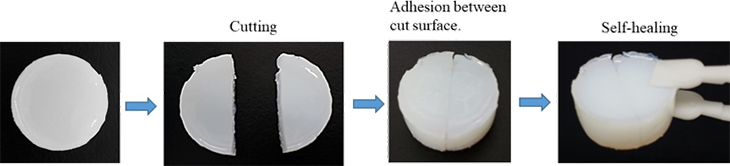 Fig. 2 Self-healing ability of hydrogel consisting of MCT-β-CD, Ad-COOH and PAA.