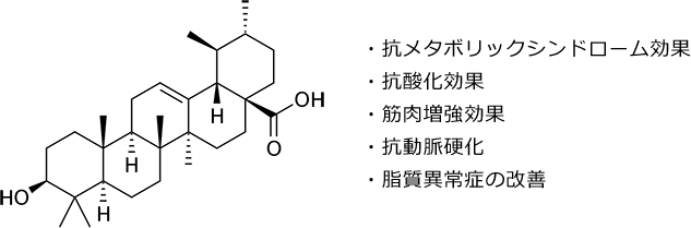 図1. ウルソール酸の構造と健康増進効果