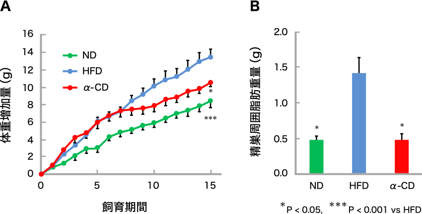 図2. A：体重増加 B：精巣脂肪重量