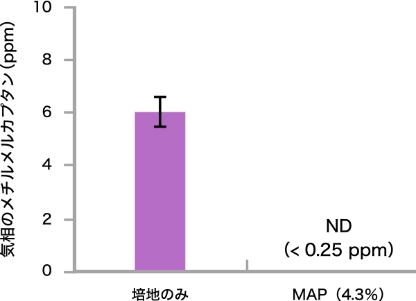 図4. P. gingivalisのメチルメルカプタン産生に対するMAPの効果