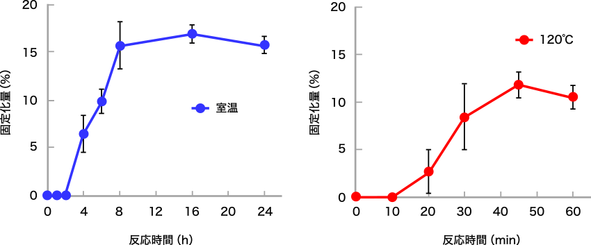 図2. PET布に対するMCT-β-CDとPEIの固定化