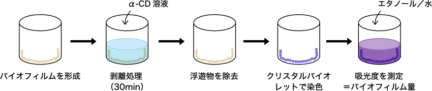 図1. 実験手順