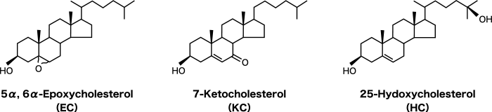 図1. 酸化コレステロールの構造