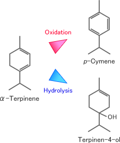 Fig. Oxidation and hydrolysis of α-Terpinene