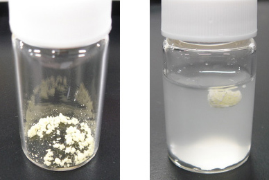 Picture 2. Left: RALA powder Right: RALA polymer in acid solution