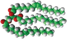 Fig. 1. Structure of Triolein