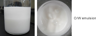 Picture 2. α-CD-Triolein emulsion (1:8 w:w)