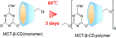 MCT-β-CD polymerization mechanism