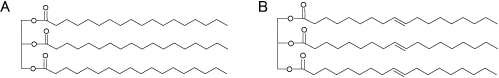 Fig. 1. Structures of tristearin and triolein