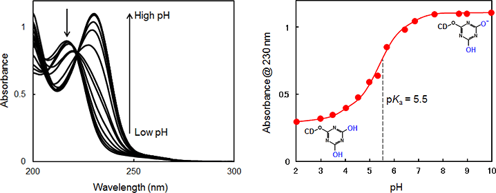 Fig. 2. Acidity of MCT-β-CD