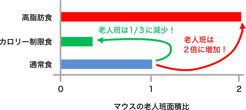 図1. アルツハイマー病モデルマウスにカロリー制限食と高脂肪食を与えた際の老人斑面積の変化（文献より引用改変）