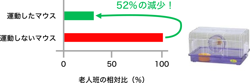 図2. アルツハイマー病モデルマウスの運動による老人斑の減少（文献より引用改変）