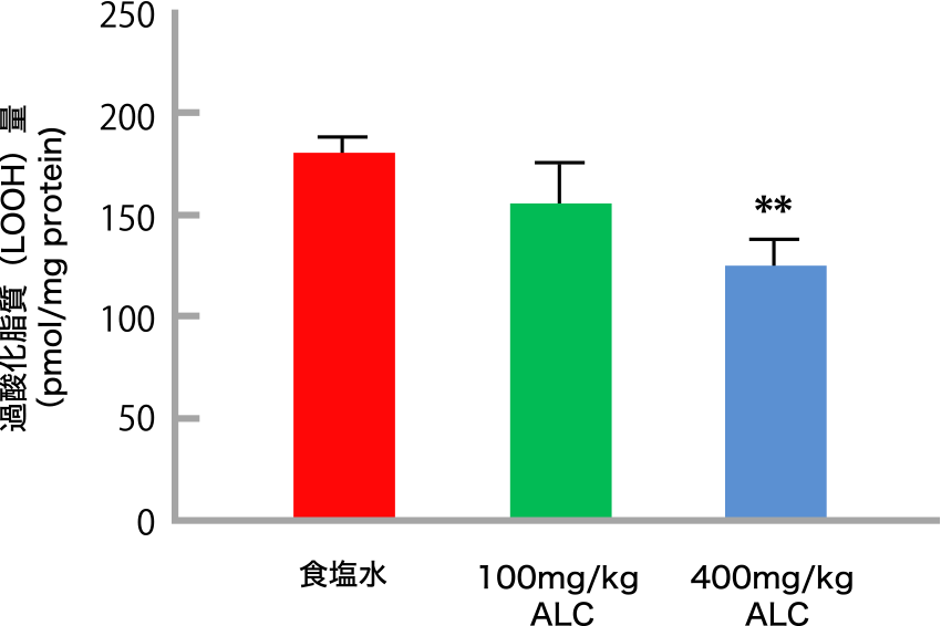 図2. ALCをSAMP8マウスに投与した際の過酸化脂質低減効果（**P < 0:01 vs. 食塩水投与グループ）