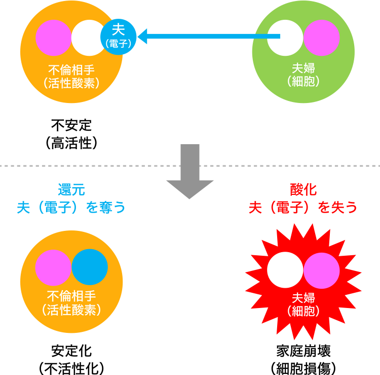 図1. 活性酸素は電子を受けて（還元されて）安定化する