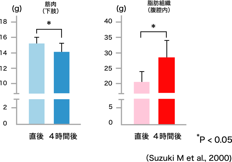 図3. レジスタンス運動直後または4時間後の食事摂取（8週間）と筋肉量および脂肪組織量の関係（ラット）