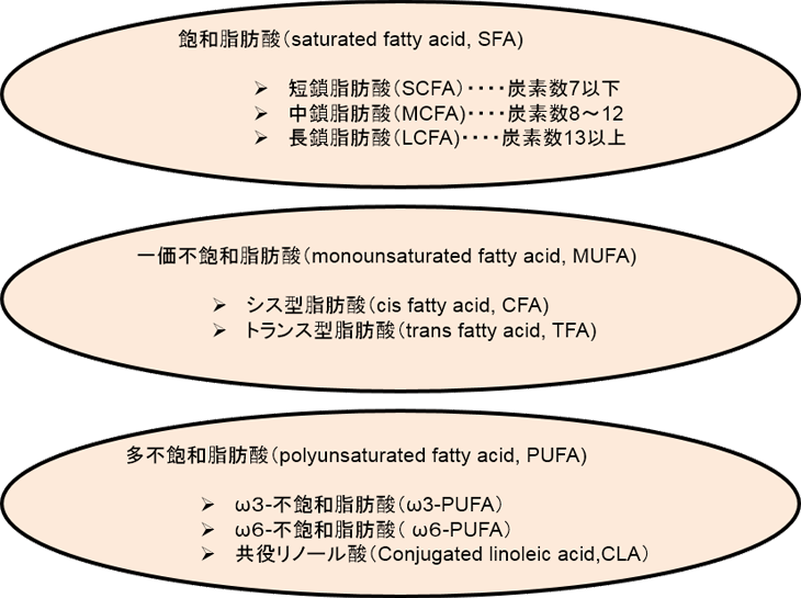 図1. 脂肪酸の種類