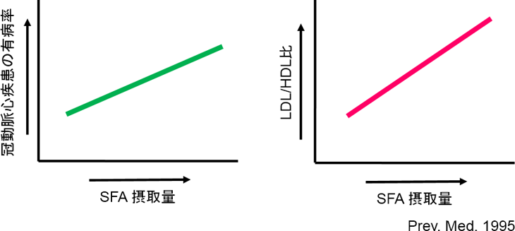 図2. 食事性コレステロールと長鎖脂肪酸の摂取の相関
