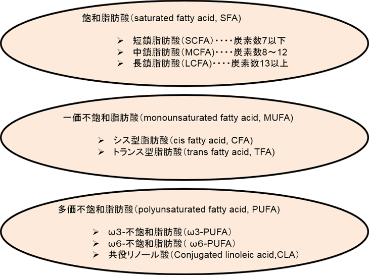 図1. 脂肪酸の種類