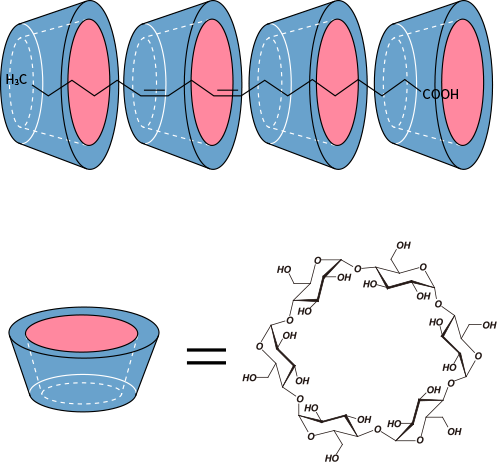 図2. リノール酸-α-シクロデキストリン（1:4）包接体の推定構造