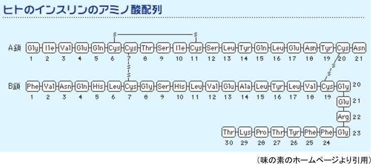 図1. ヒトのインスリンのアミノ酸配列