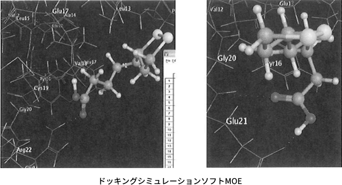 図1. インスリンとR-αリポ酸(左)、及び、S-αリポ酸(右)の水素結合形式