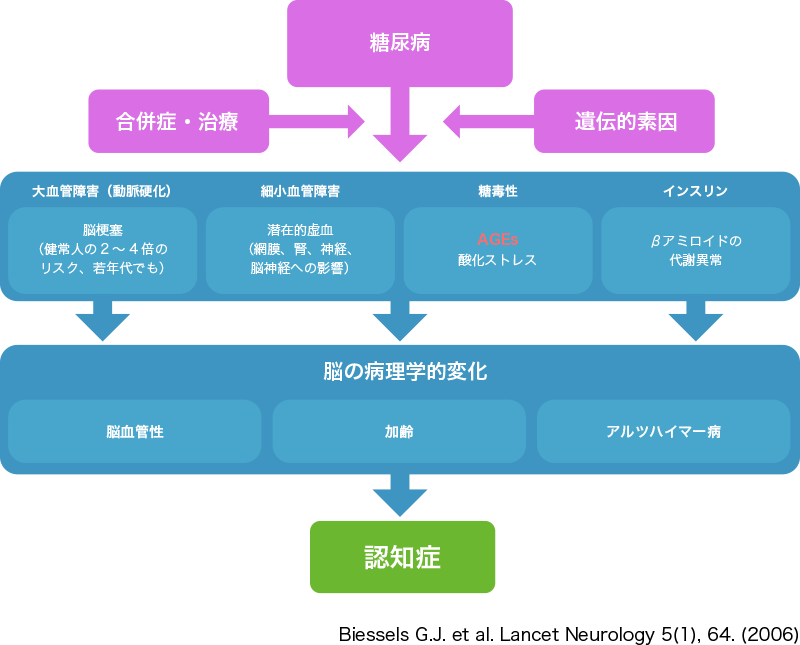 図1. 糖尿病患者の認知症発症メカニズム