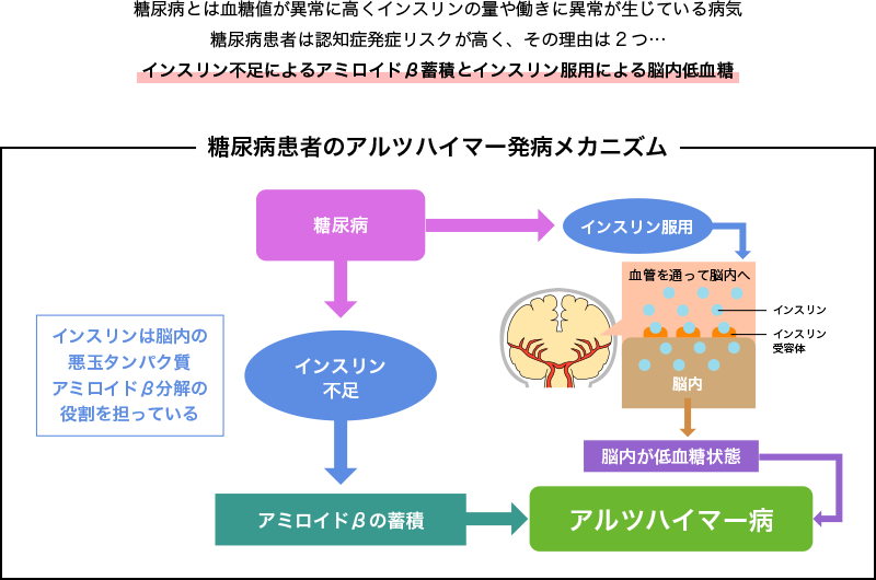 図3. 糖尿病とアルツハイマー病の関係