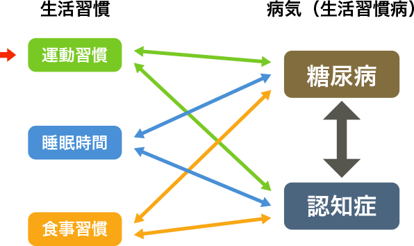 図1. 運動習慣　快眠　食事習慣　糖尿病　認知症の関係