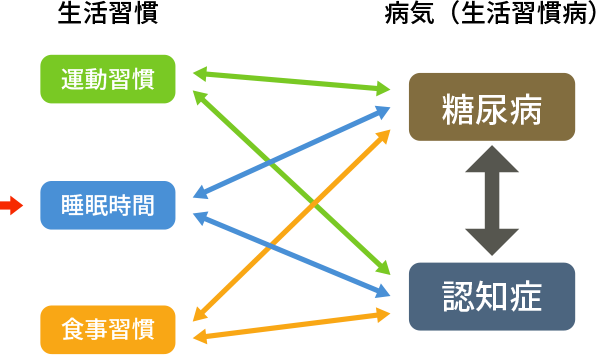 図1. 運動習慣　快眠　食事習慣　糖尿病　認知症の関係