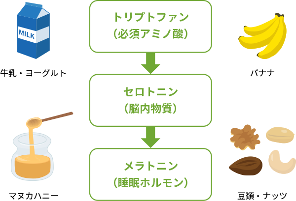 図5. 快眠のためのメラトニンの体内生成