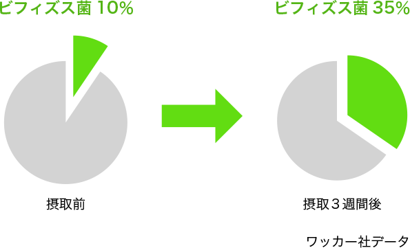 図2. α-CD摂取によるビフィズス菌の増殖効果