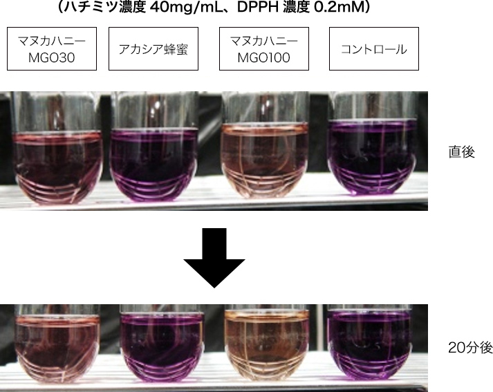 図2. ハチミツのラジカル消去活性の比較