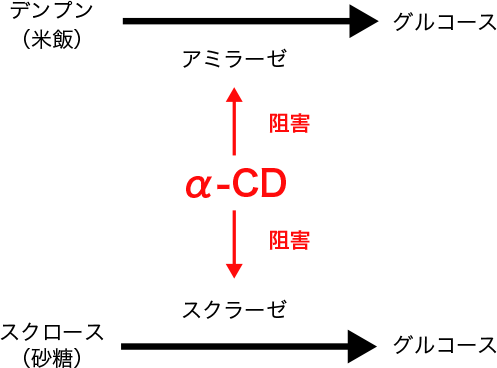 図2. α-CDによるデンプンと砂糖からのグルコース吸収阻害作用