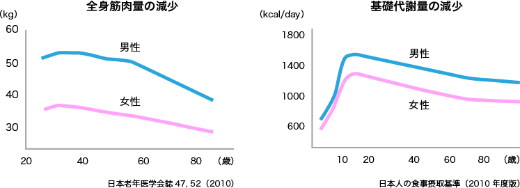 図3. 年齢による筋肉量の減少と基礎代謝量の相関