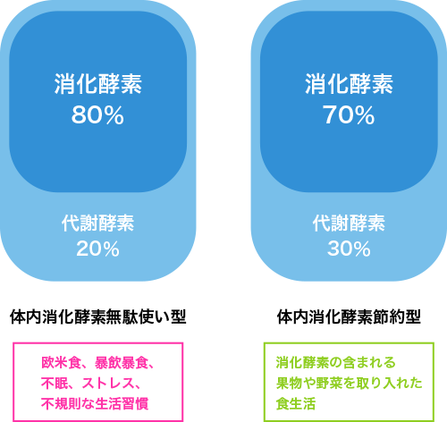 図3. 消化酵素の含まれる果物や野菜による消化酵素の節約