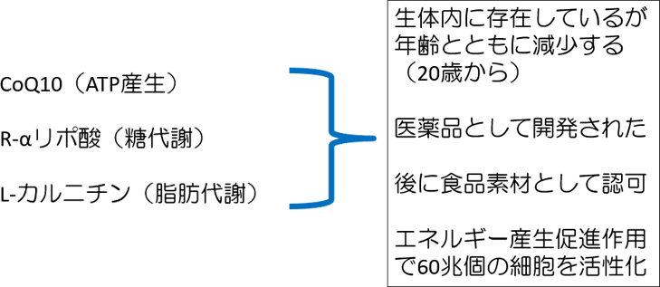 図1. エネルギー産生のための三大ヒトケミカルの共通点