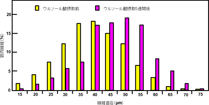 図3. ウルソール酸摂取による骨格筋の筋肉線維の変化（Cell Metabolism 2011の論文から引用）