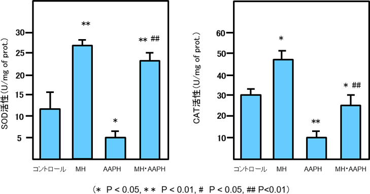 図3. ヒト線維芽細胞の酸化ダメージに対するSODとCATの酵素活性